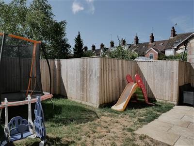 Picture 14